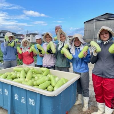 ふるさと納税 藍住町 さわやかな甘さ! すっきり奈良漬4個セット |  | 02