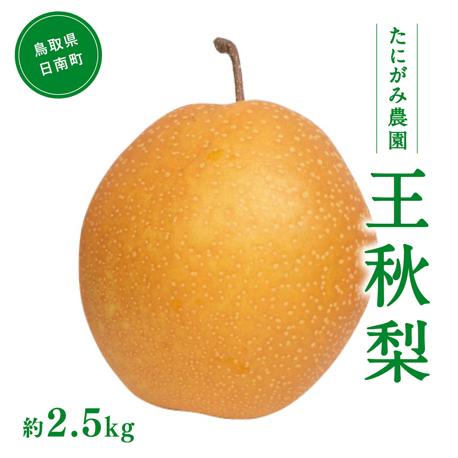 【ふるさと納税】たにがみ農園 王秋梨 2.5kg (3玉～7玉) 梨 なし フルーツ 果物 くだもの 鳥取県 佐治 梨 なし ナシ
