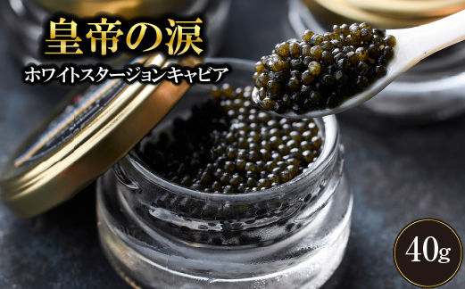 【純国産キャビア】ホワイトスタージョンキャビア 40g 皇帝の涙 国産 チョウザメ 魚卵 宮崎県 宮崎 小林市