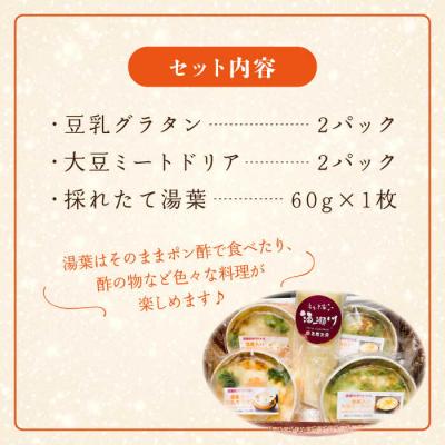 ふるさと納税 糸島市 【全3回定期便】湯葉三昧セット(豆乳グラタン/大豆ミートドリア/湯葉)酒瀬川[AZJ010] |  | 02