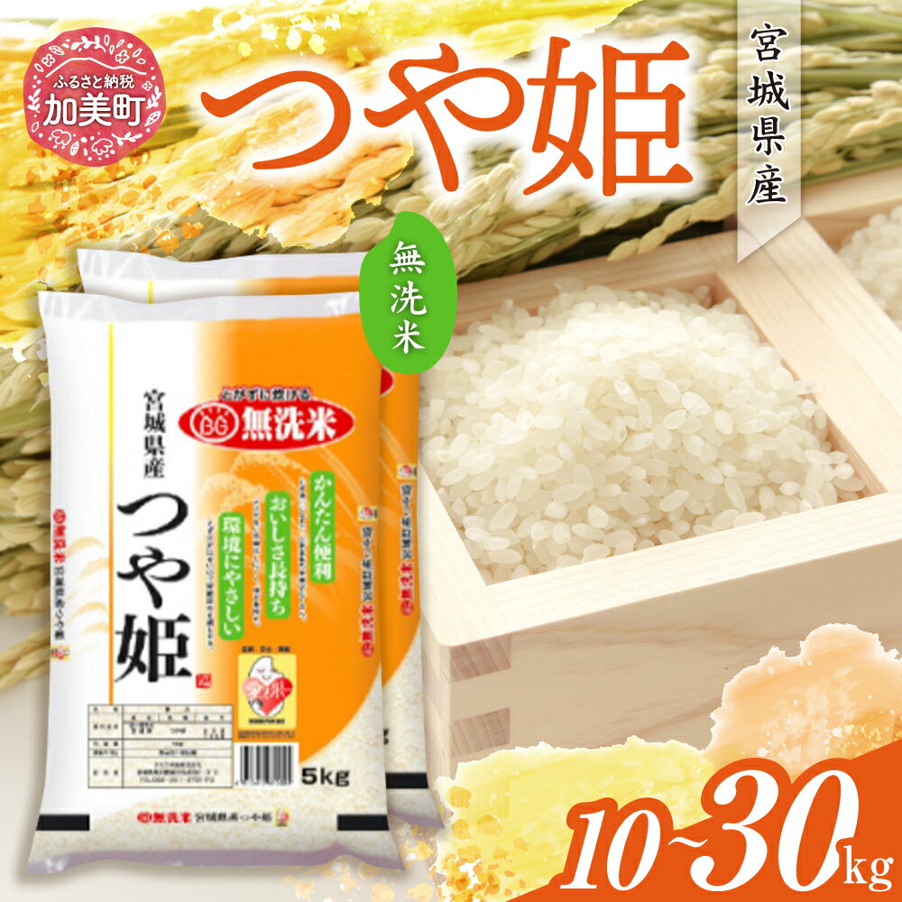【ふるさと納税】つや姫 無洗米 定期便 10kg 米 令和6年産 宮城県産 つや姫 無洗米 10kg(5kg×2）単品 1回 ～ 定期 3回 [カメイ 宮城県 加美町 ] お米 こめ コメ 精米 白米 | km00019-r6