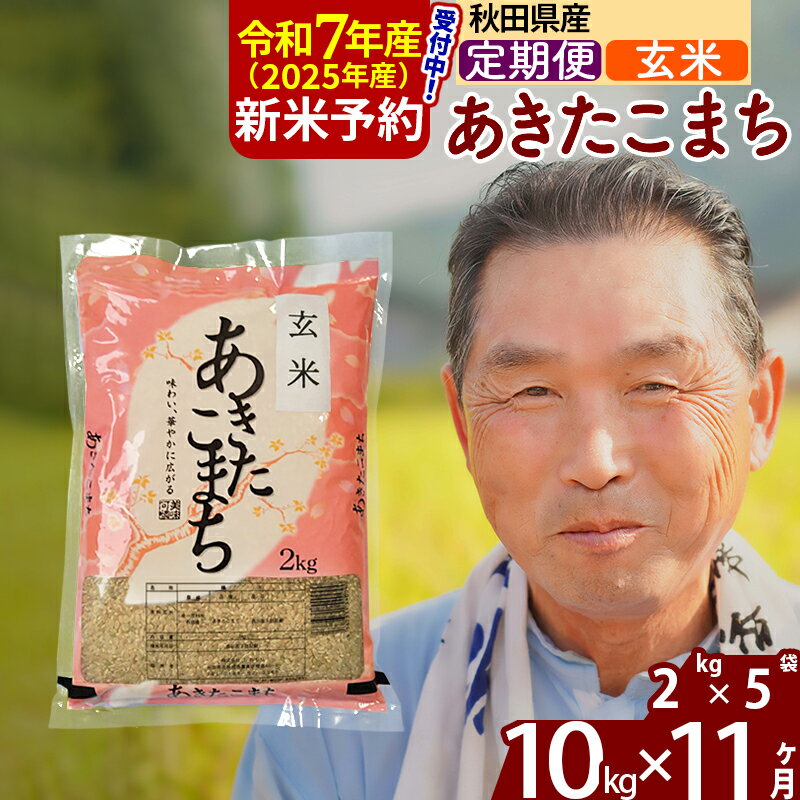 【ふるさと納税】※令和7年産 新米予約※《定期便11ヶ月》秋田県産 あきたこまち 10kg【玄米】(2kg小分け袋) 2025年産 お届け時期選べる お届け周期調整可能 隔月に調整OK お米 おおもり