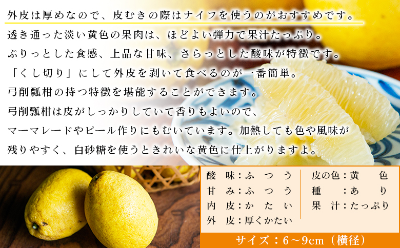 ＜無茶々園のひょう柑 約7kg＞ フルーツ 果物 蜜柑 柑橘 ひょうかん 弓削瓢柑 期間限定 季節限定 特産品 愛媛県 西予市