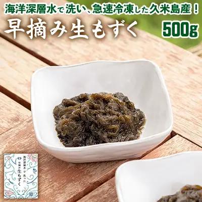 もずく 海洋深層水で洗い急速冷凍した久米島産！早摘み生もずく 500g  モズク 海藻