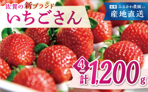 
【先行予約｜ふるかわ農園】佐賀県小城市産「いちごさん」計1,200g（300g×4箱）
