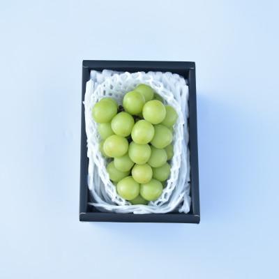 ふるさと納税 山梨市 【発送月固定定期便】山梨市産　季節のフルーツ定期便全3回 |  | 02