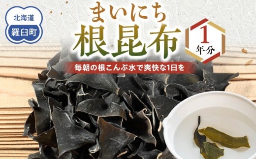 まいにち根こんぶ 1年分 生産者 支援 応援