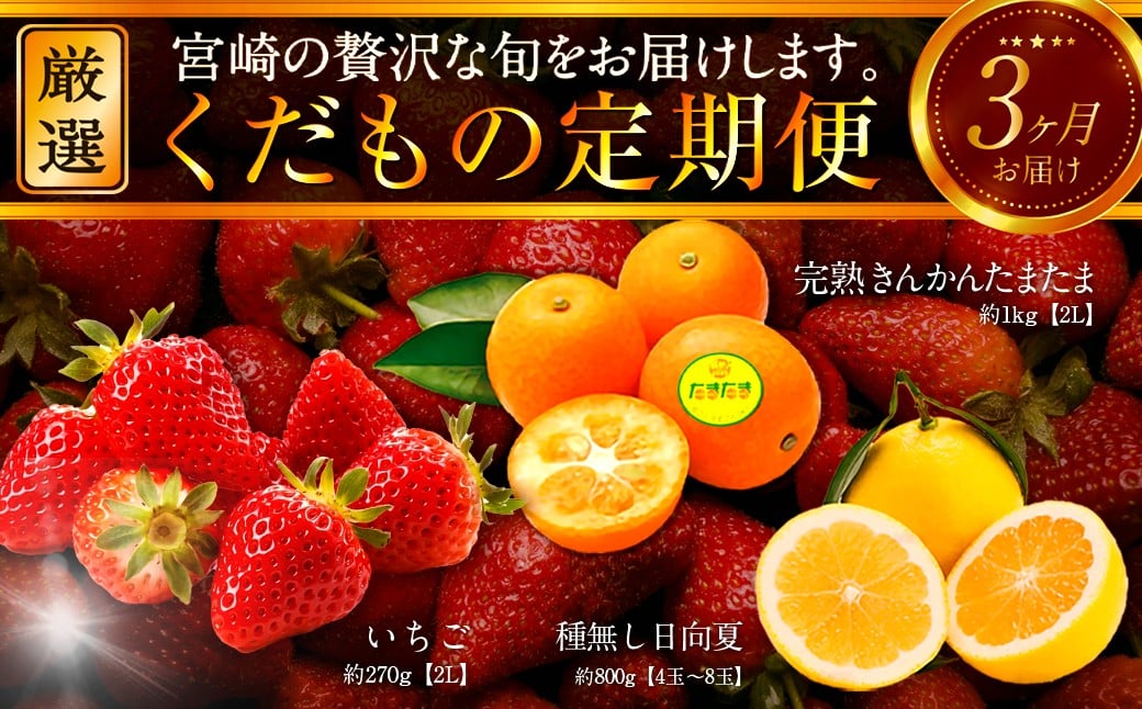 
            《2026年発送先行予約》【数量・期間限定】青果店厳選！「3ヶ月お届け！くだもの定期便Vol.1」_M153-T021
          
