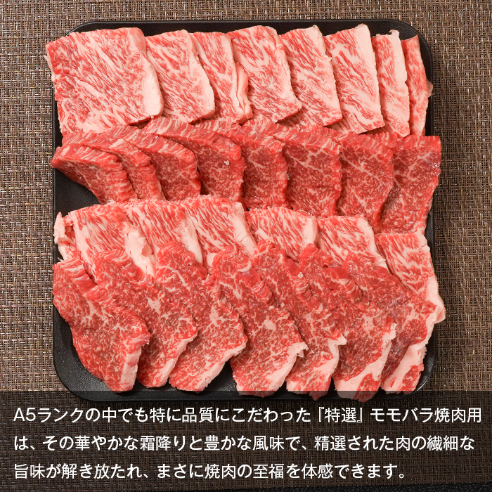 淡路島産黒毛和牛 『特選』モモバラ 焼肉用 500g【A5神戸牛】  焼肉