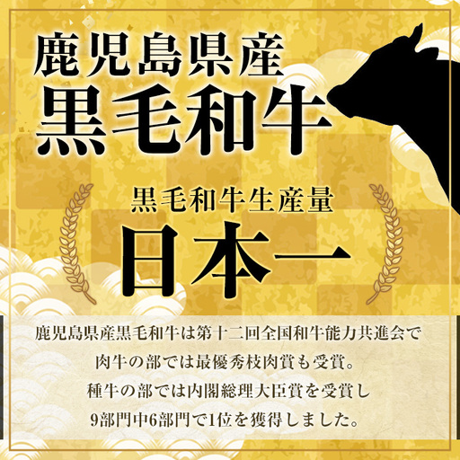 ＜定期便・全3回(隔月)＞鹿児島県産黒毛和牛5等級！カタ(ウデ)スライス(総量5.4kg・約1.8kg×3回) 国産 牛肉 赤身 カタ肉 肩肉 ウデ肉 スライス肉 ウデスライス 薄切り しゃくし すき