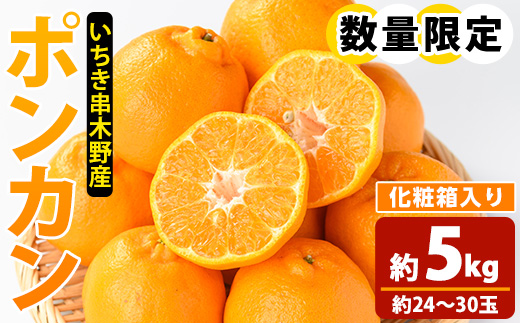 ＜先行予約受付中！2025年12月上旬頃より順次発送予定！＞池之上果樹園の旬のポンカン (約5kg・約24〜30玉)(化粧箱入り) 国産 鹿児島県産 果物 ぽんかん 椪柑 みかん ミカン 蜜柑 フルーツ 果実 冬季 常温 Mサイズ Lサイズ 箱 箱詰め バラ詰め【池之上果樹園】【A-2015H】