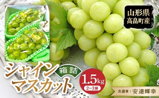 
            《2025年先行予約》山形県 高畠町産 シャインマスカット 箱詰 約1.5kg(2～3房) 2025年9月中旬から順次発送 ぶどう ブドウ 葡萄 マスカット 大粒 種なし 高級 くだもの 果物 フルーツ 秋果実 産地直送 農家直送 数量限定 贈答 ギフト F21B-304
          