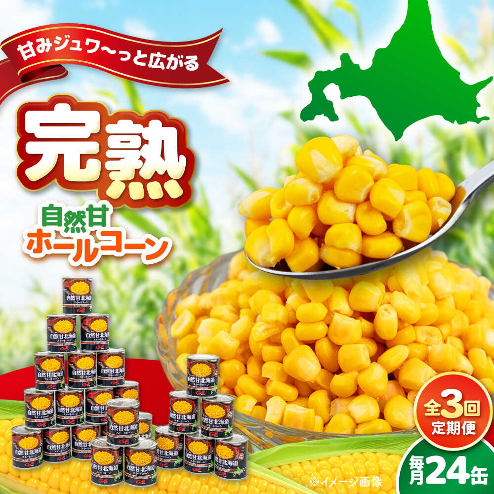 【ふるさと納税】【全3回定期便】自然甘ホールコーン 24缶 《喜茂別町》【きもべつ観光協会】 コーン コーン缶 缶 缶詰 とうもろこし トウモロコシ 北海道 常温 常温配送 定期便 定期 [AJAG024] 54000 54000円