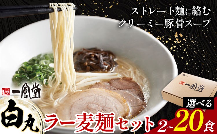 
                  ラーメン 一風堂 白丸 ラー麦麺 セット 選べる 2食 6食 12食 20食 地域商社ふるさぽ《90日以内に出荷予定(土日祝除く)》福岡県 鞍手郡 小竹町 ラーメン とんこつ 豚骨スープ 豚骨ラーメン ラー麦 麺
                