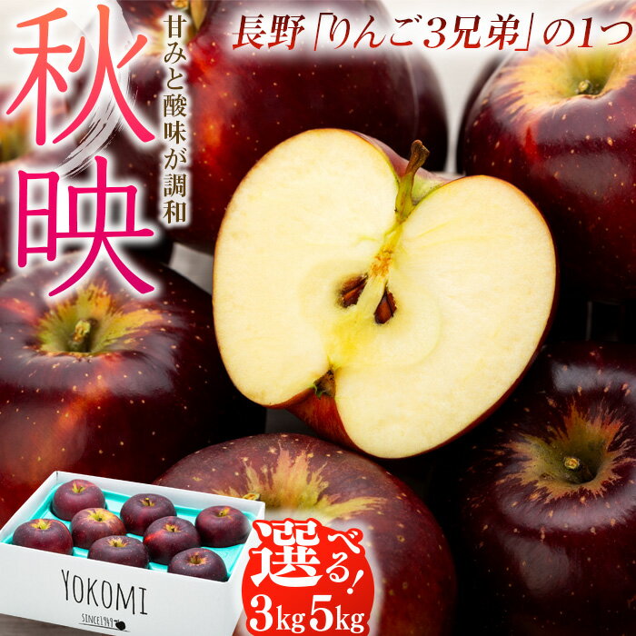 【ふるさと納税】【2025年/令和7年度発送分！】信州のりんご 秋映 3kg 5kg りんご リンゴ 林檎 長野 フルーツ 果物 信州産 長野県産 特産 産地直送 おすすめ　 長野県 箕輪町 　お届け：2025年10月上旬～10月中旬ごろ