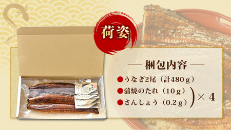 鰻 うなぎ うなぎの蒲焼 炭火焼き 炭火 / 1尾で約240gのビッグサイズ うなぎ蒲焼 2尾 計約480g （タレ・山椒付き） 中国産 【nks700】