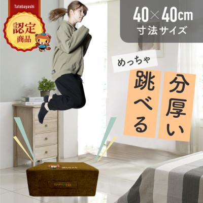 ふるさと納税 館林市 ぽんちゃん トランポリンクッション (ココアブラウン) 40cm×40cm 高反発 室内用