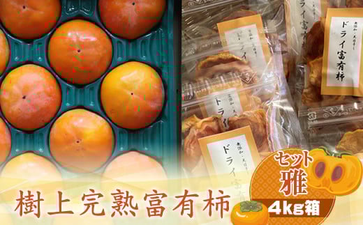 
            【先行予約】樹上甘熟富有柿 【セット雅】4kg箱　〈出荷時期：2026年11月15日～2026年12月10日出荷終了〉【 柿 かき フルーツ 神奈川県 海老名市 】
          