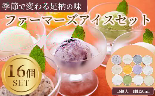 
まつが農園アイスクリームギフト16個入り アイスクリーム【果物 フルーツ 旬 食品添加物不使用 アイス ギフト プレゼント 贈り物 おいしい お祝い 誕生日 神奈川県 南足柄市 】
