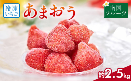 福岡産 冷凍 あまおう 約2.5kg 12月中旬から順次発送 旬 いちご 苺 あまおう 冷凍いちご フルーツ 果物 くだもの スイーツ ギフト 福岡県 川崎町