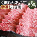 【ふるさと納税】厳選されたGI認証 くまもとあか牛 特選 焼肉用 約500g GI認証取得牛 牛肉 肉 和牛 あか牛 赤牛 熊本 焼き肉 焼肉 やきにく お肉 カット済み バーベキュー 冷凍 国産 九州産 熊本県産 送料無料