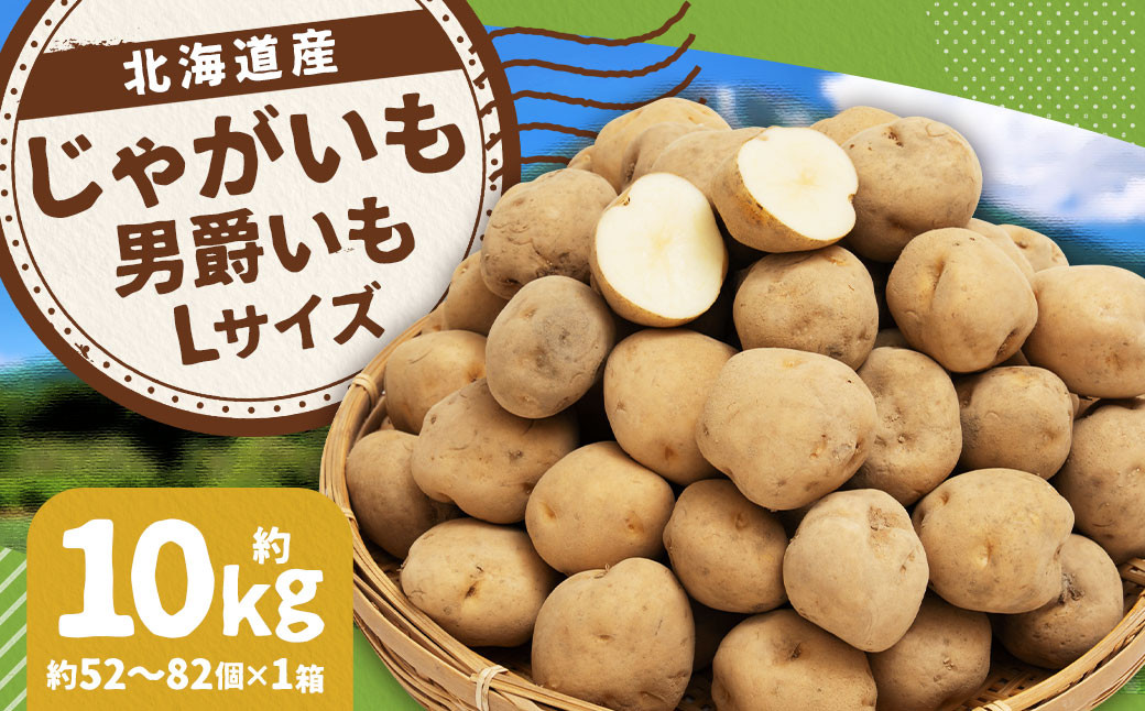 
                  じゃがいも 男爵 Lサイズ 約10kg×1箱 計約10kg （JA） ジャガイモ 芋 いも イモ 国産 【2026年9月下旬～2027年2月下旬迄発送予定】
                