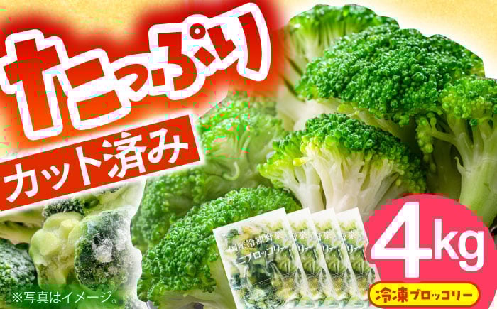 
                  ブロッコリー たっぷり 冷凍 ブロッコリー 4kg（1kg × 4袋） / ブロッコリー ぶろっこりー 野菜 やさい 小分け 冷凍 国産  / 南島原市 / 池田海陸物産 [SEW008]
                