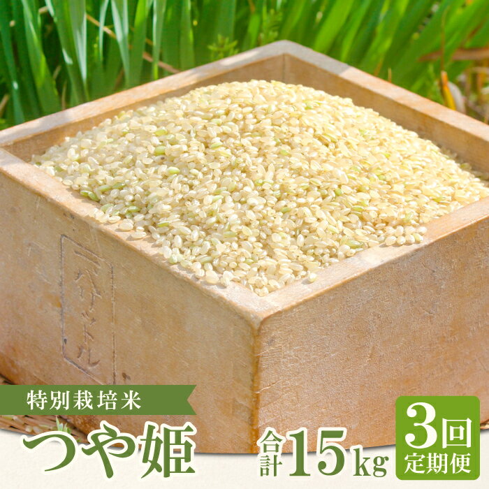 【ふるさと納税】【定期便】【新米】特別栽培米 横尾衛門のつや姫 玄米 5kg×3回 コース 3ヵ月 毎月お届け 精米 産地直送 つや姫 ご飯 弁当 おにぎり 昼食 特産品 ブランド米 お米 お取り寄せ