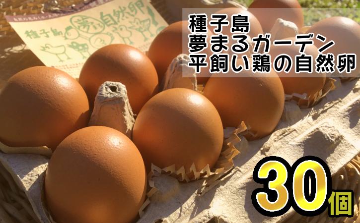 種子島 夢まる ガーデン の 平飼い 産み立て たまご ×30個　NFN500【300pt】