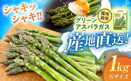 【5月中旬以降発送】グリーンアスパラガス 1kg  (S/露地栽培)《喜茂別町》【久保田農園】アスパラ  アスパラ アスパラ アスパラ アスパラ 5000 5000円 5千円  [AJAM009]