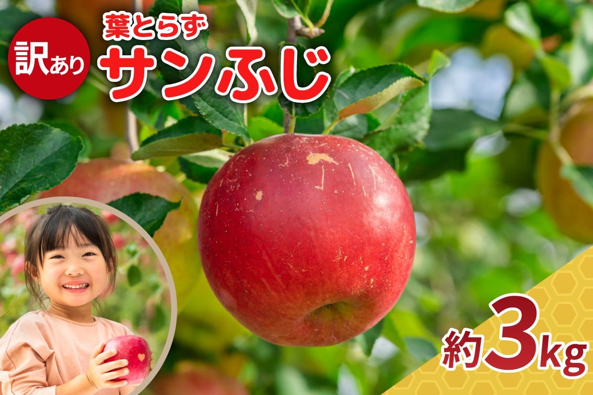 
            【選べる配送時期】りんご 3kg 程度 葉とらず サンふじ 11月 12月 訳あり 青森産 りんご ふじ 【 サンふじりんご 葉とらずりんご リンゴジュースやお菓子作りにも くだものフルーツ果物林檎約3kg 】
          