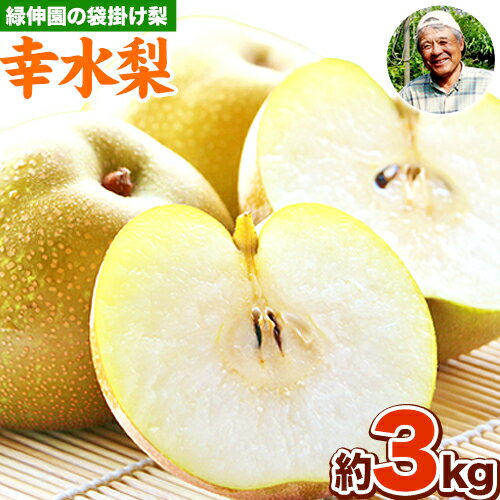 【ふるさと納税】赤梨系の早生種『緑伸園』の幸水梨 期間限定 たっぷり約3kg 5-9玉前後入り なし 幸水 果物 スイーツ フルーツ デザート スムージー 《7月下旬-8月中旬頃出荷》