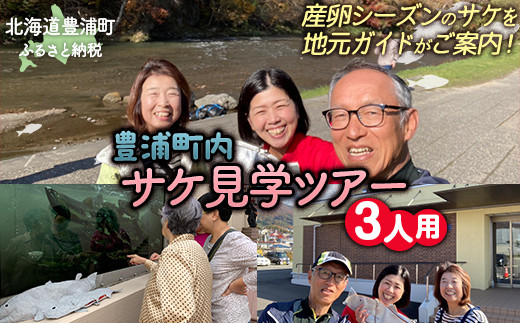 【豊浦町内】サケ見学ツアー（3人用）【 ふるさと納税 人気 おすすめ ランキング 体験 イベント サケ 産卵 ガイド 見学 3人 北海道 豊浦町 送料無料 】 TYUL019