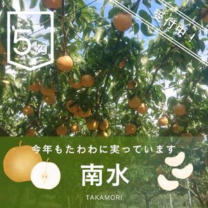 【南信州高森産】梨(南水)5kg ＜9月下旬より順次発送＞