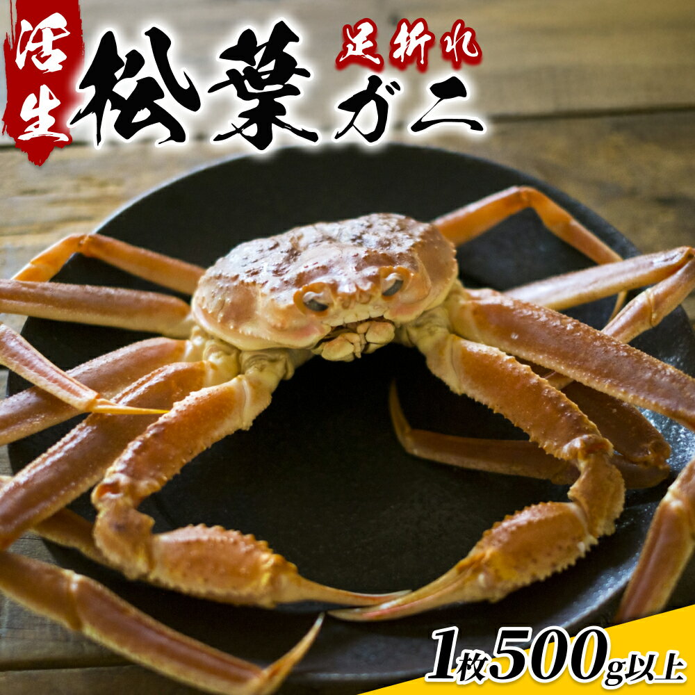 【ふるさと納税】松葉がに（足折れ1～2本）500g以上（生）鳥取県網代産｜鳥取県 岩美町 蟹 かに カニ 松葉ガニ 訳あり 訳アリ 新鮮 冷蔵【22015】