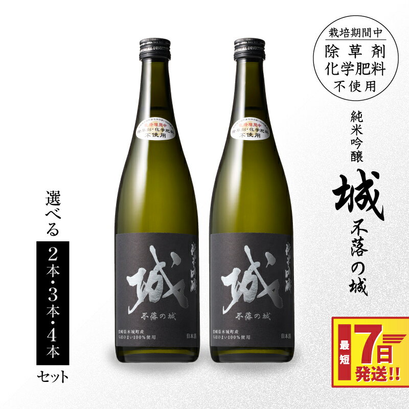 【ふるさと納税】【7日以内に発送！】日本酒 純米吟醸「城 〜不落の城」辛口 - 2本/3本/4本 720ml 冷蔵配送 ご当地日本酒 令和8年産 新しき村友情都市コラボ お酒 アルコール分 15％ 特産品 地酒 スピード配送便 送料無料 【宮崎県木城町】