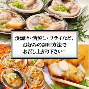 南知多名産！ 大 あさり カット済み 大玉 片貝8個 (400g×2p) 800g 冷凍 プロトン凍結 魚貝 鮮魚 魚太郎 特産品 バーベキュー 浜焼き 大 あさり