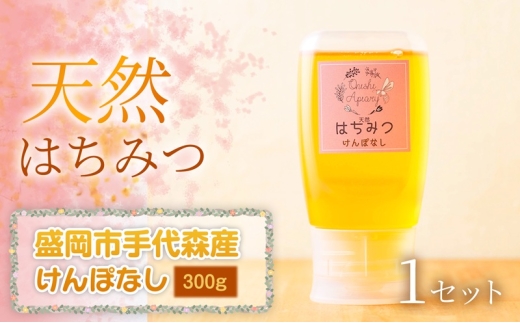 けんぽなし 蜂蜜 300g 1セット 国産 はちみつ 天然 無添加 無加工 盛岡市手代森産 季節の蜂蜜 希少 濃厚 上品な香り スイーツ ご褒美 美容 美肌 ギフト プレゼント 贈答用 岩手県 盛岡市 東北 岩手 盛岡 大西養蜂場