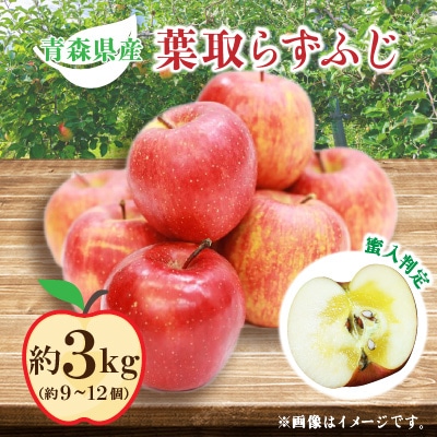 りんご 葉取らずふじ 蜜入判定 3kg (約9～12個) _A14【配送不可地域：離島】【1085335】