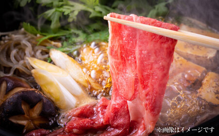 あか牛 肩ロース すき焼き しゃぶしゃぶ用 300g×2個 合計600g【一般社団法人クラッシーノこうし】[AYAB025]