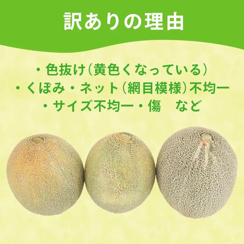 タカミメロン （家庭用） 5～12玉入 約11kg 青肉品種 訳あり メロン