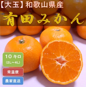 [大玉]和歌山県産 有田みかん10kg（2L～4Lサイズおまかせ）ひとつひとつ手選別で厳選！生産者から直送 ｜ みかん