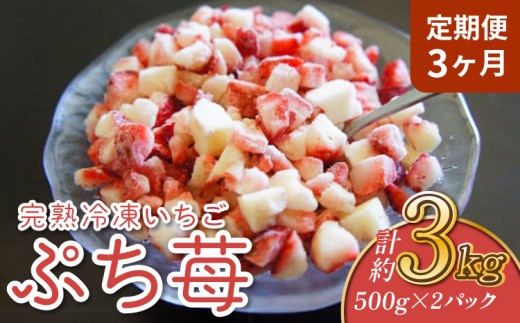 いちご 【3ヶ月定期便】冷凍いちご 1㎏ (500g×2パック) 【定期便3ヶ月】完熟冷凍いちご「ぷち苺」1kg 500g×2パック 園村苺園