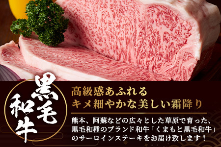 【 A4～ A5 等級 】くまもと黒毛和牛サーロインステーキ 250ｇ【 ブランド 牛肉 肉 サーロイン ステーキ 250ｇ×1枚 ご馳走 ご褒美 和牛 国産 熊本県 上級 上質 】106-0502