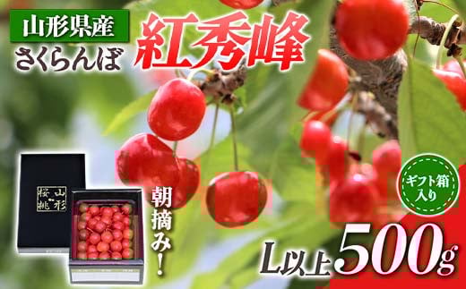 【先行受付 令和8年度発送】山形県産 朝摘みさくらんぼ 紅秀峰500g ギフト箱入り FSY-0346
