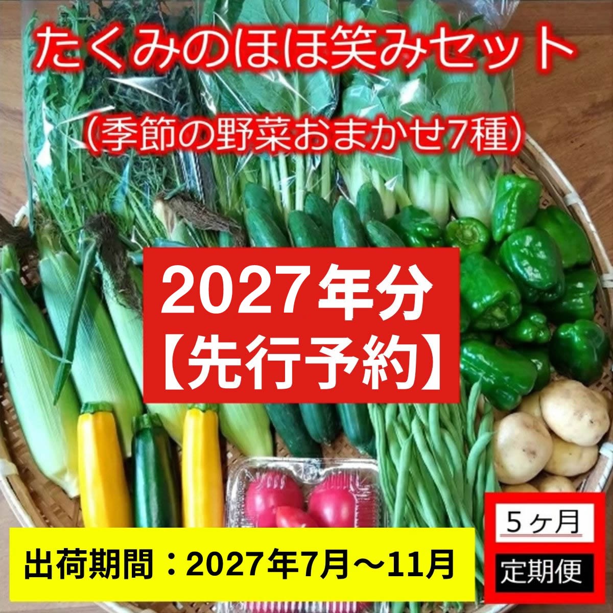 
                  【2027年分先行予約・5ヶ月定期便】旬の野菜7種詰め合わせ『たくみのほほ笑みセット』（2027年7～11月出荷／北海道・九州・沖縄県・離島は配送不可） 旬彩 長野県 信州 おまかせ 高原  産地直送 季節 有機 栽培 先行予約
                