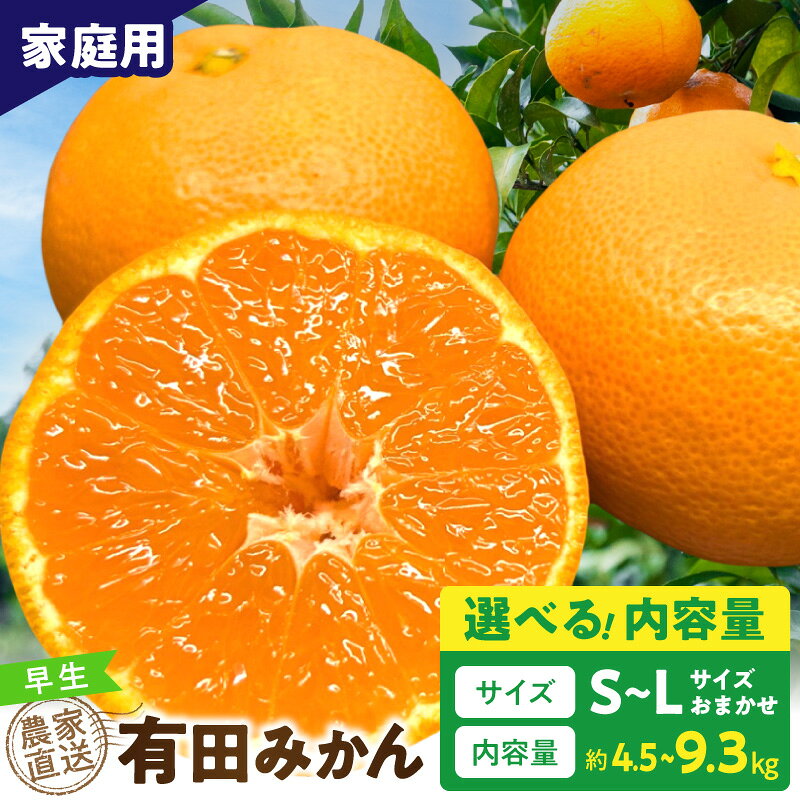 【ふるさと納税】【2026年先行予約】 【数量限定】 有田みかん 早生 選べる 内容量 約 4.5kg 9.3kg 家庭用 12月発送 宮川早生 温州 甘み みかん 柑橘 フルーツ デザート 果実 果汁豊富 農家直送 傷あり お取り寄せ 和歌山県 湯浅町 送料無料