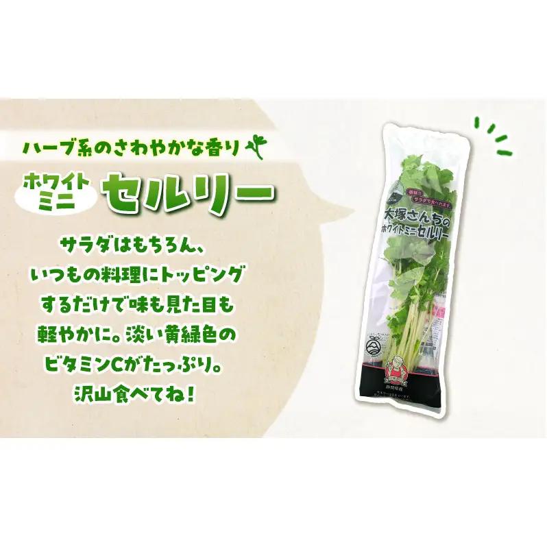 野菜セット ホワイトミニセルリー サラダほうれん草 野菜セット【計12袋 セルリー5袋 ほうれん草7袋】