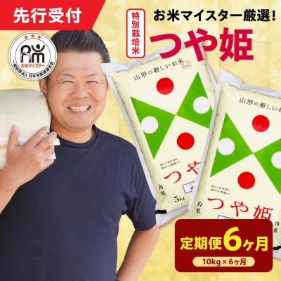 ふるさと納税 米沢市 【 6ヶ月定期便 / 令和7年産 】 特別栽培米 つや姫 計10kg/月 ( 1回配送 5kg×2袋