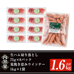 ＜2025年11月中に発送予定＞国産豚生ハム切り落とし・業務用荒挽き恵みウインナー(合計1.6kg) 生ハム おつまみ 小分け 【ナンチク】A941-11